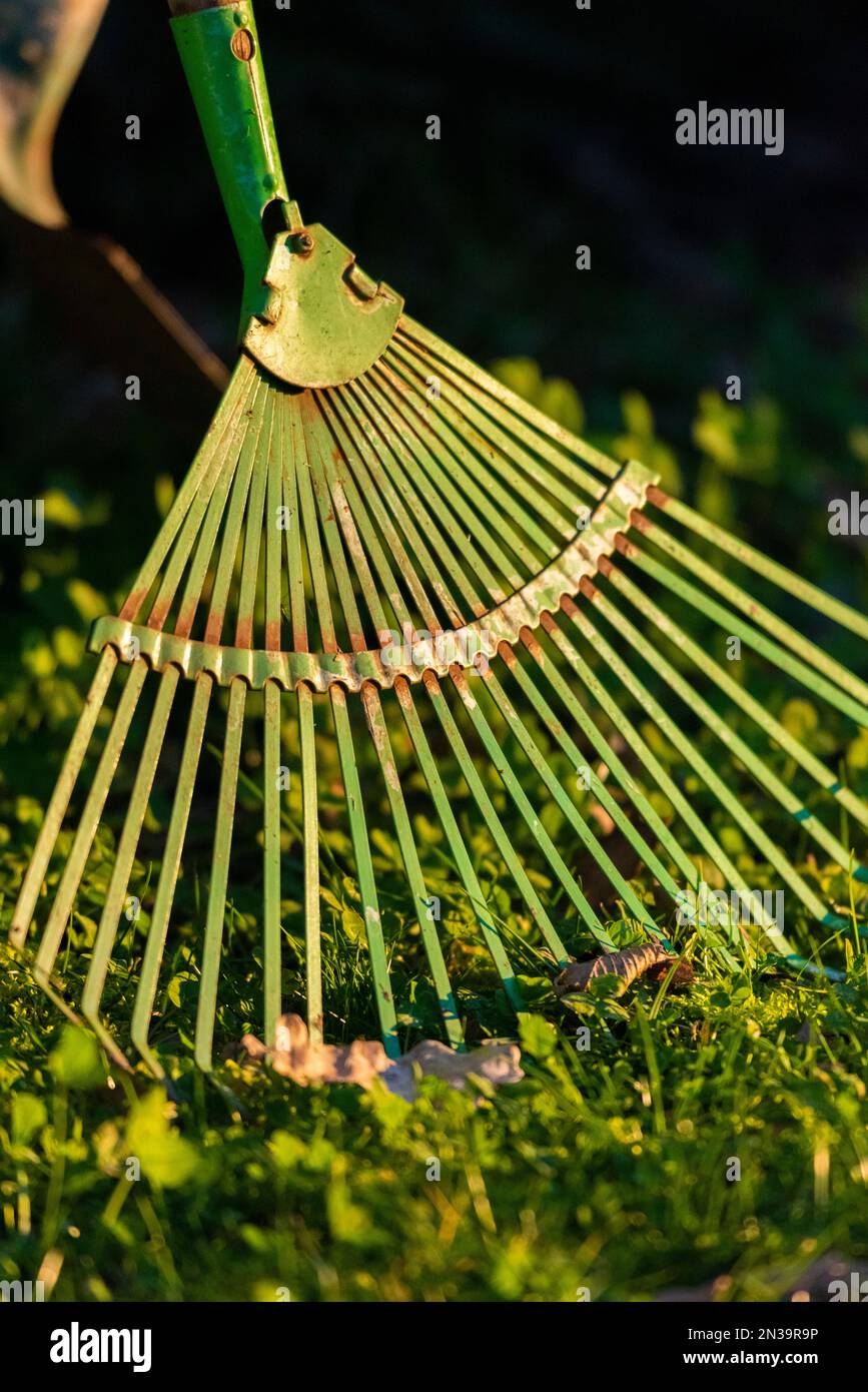 France, Loiret, closeup of lawn and foliage rake Stock Photo Alamy
