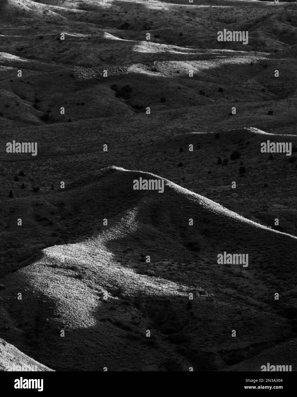 Rolling hills play with light and shadow in black and white Stock Photo ...