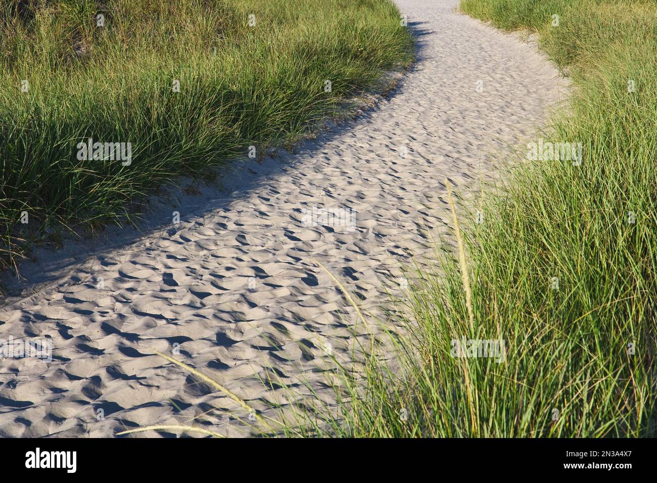 Path on Wingaersheek Beach, Gloucester, Cape Ann, Massachusetts, USA Stock Photo