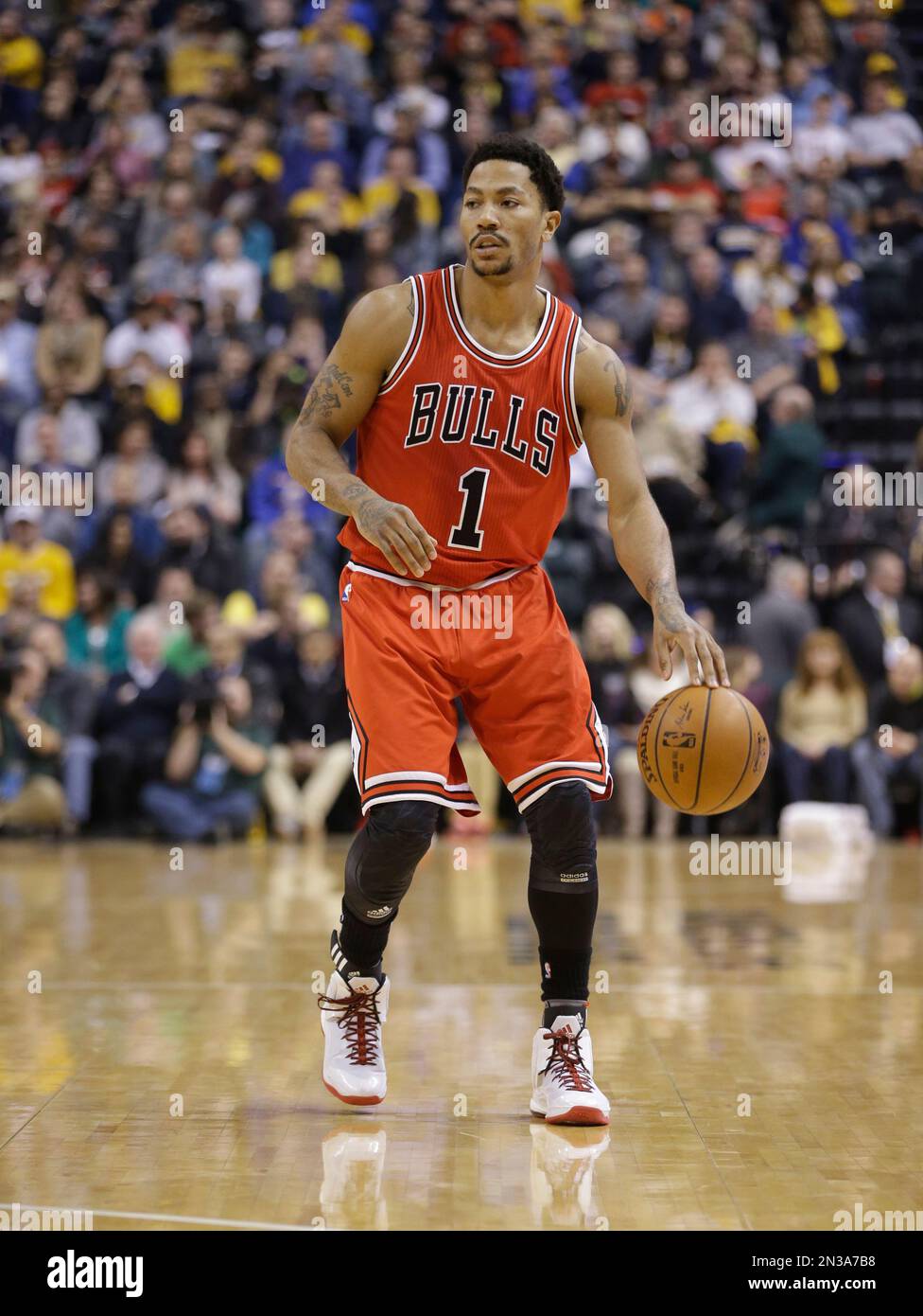 derrick rose 2014