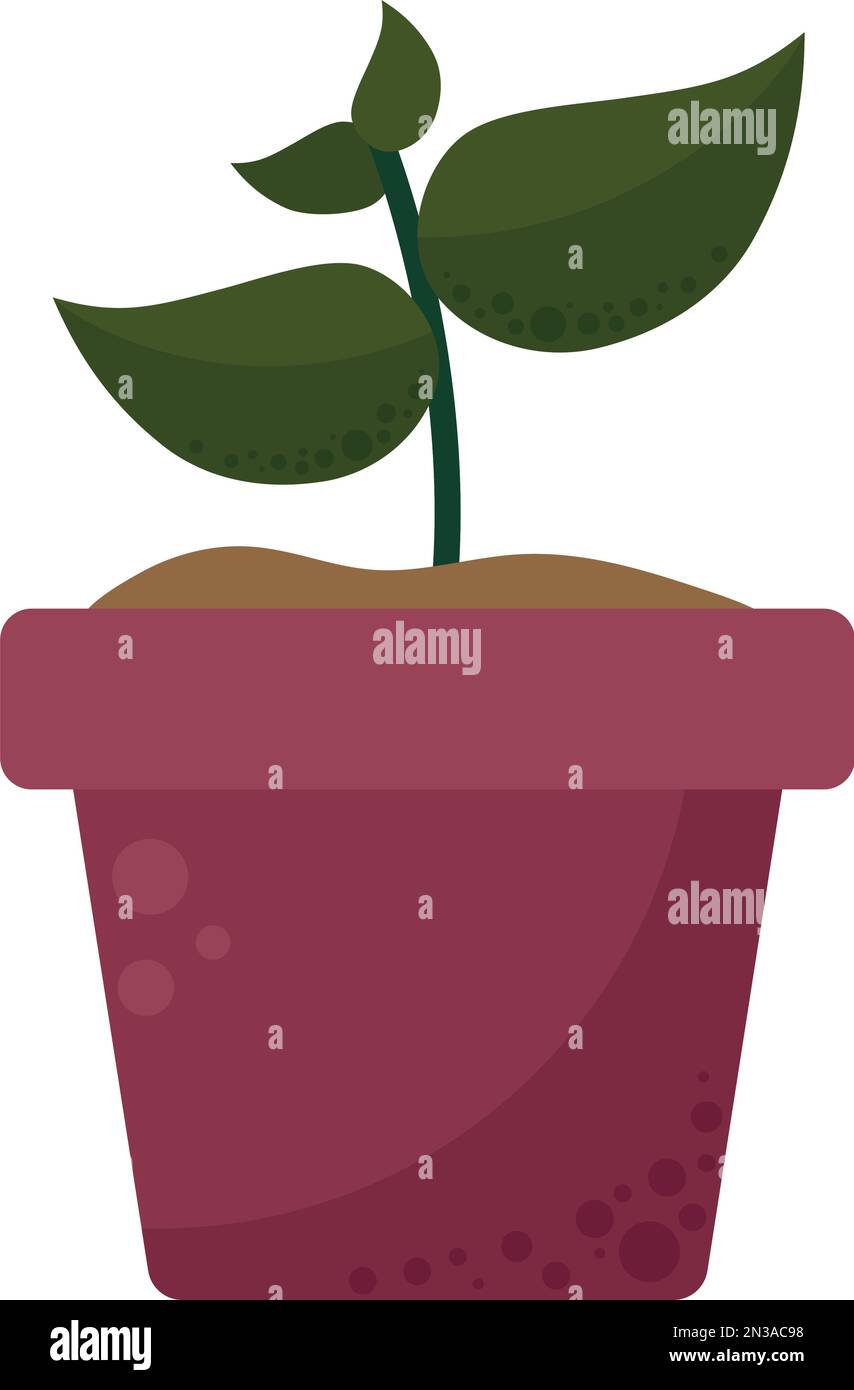 houseplant in pot Stock Vector Image & Art - Alamy
