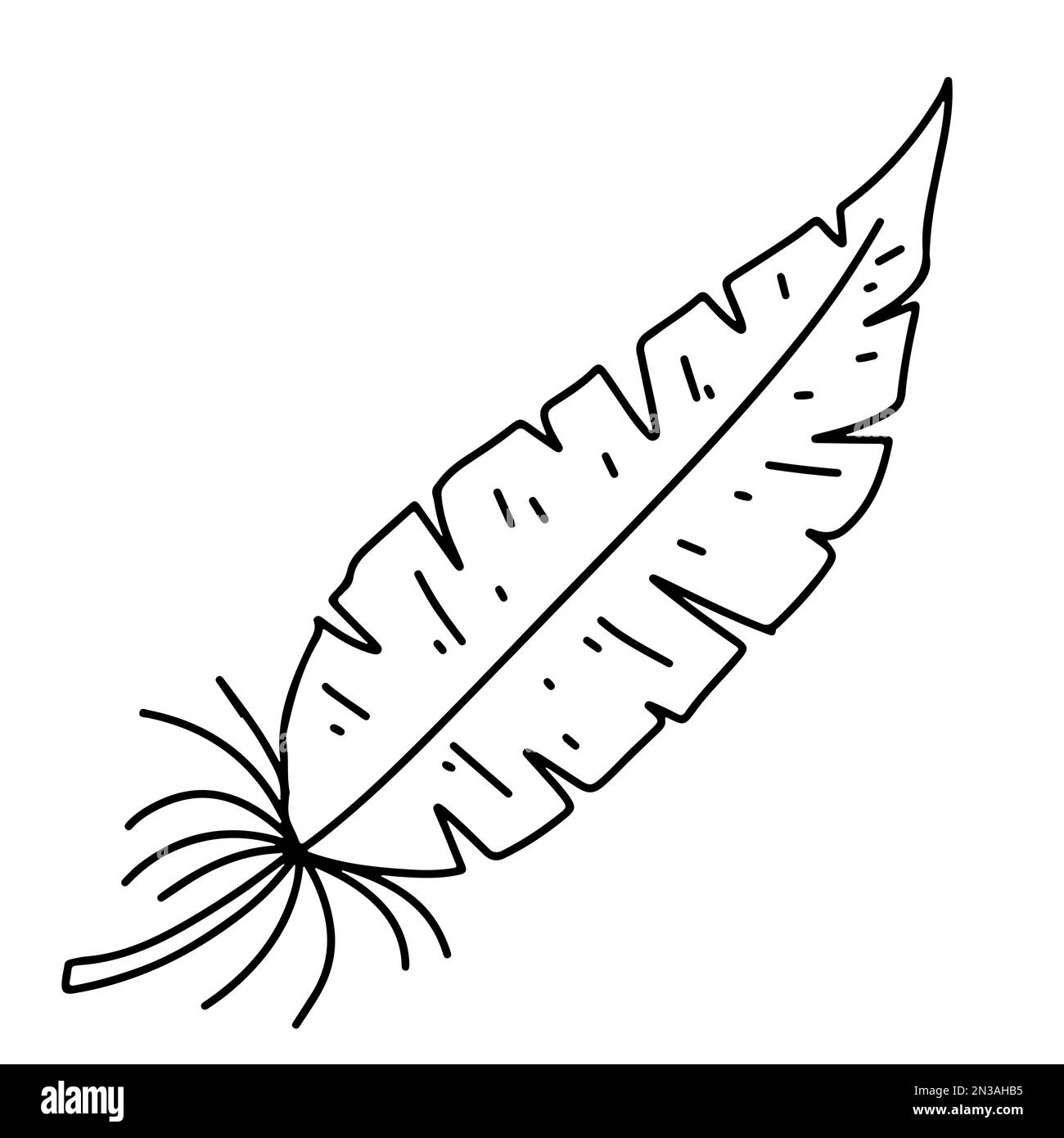 Feather in hand drawn doodle style. Vector illustration isolated on ...