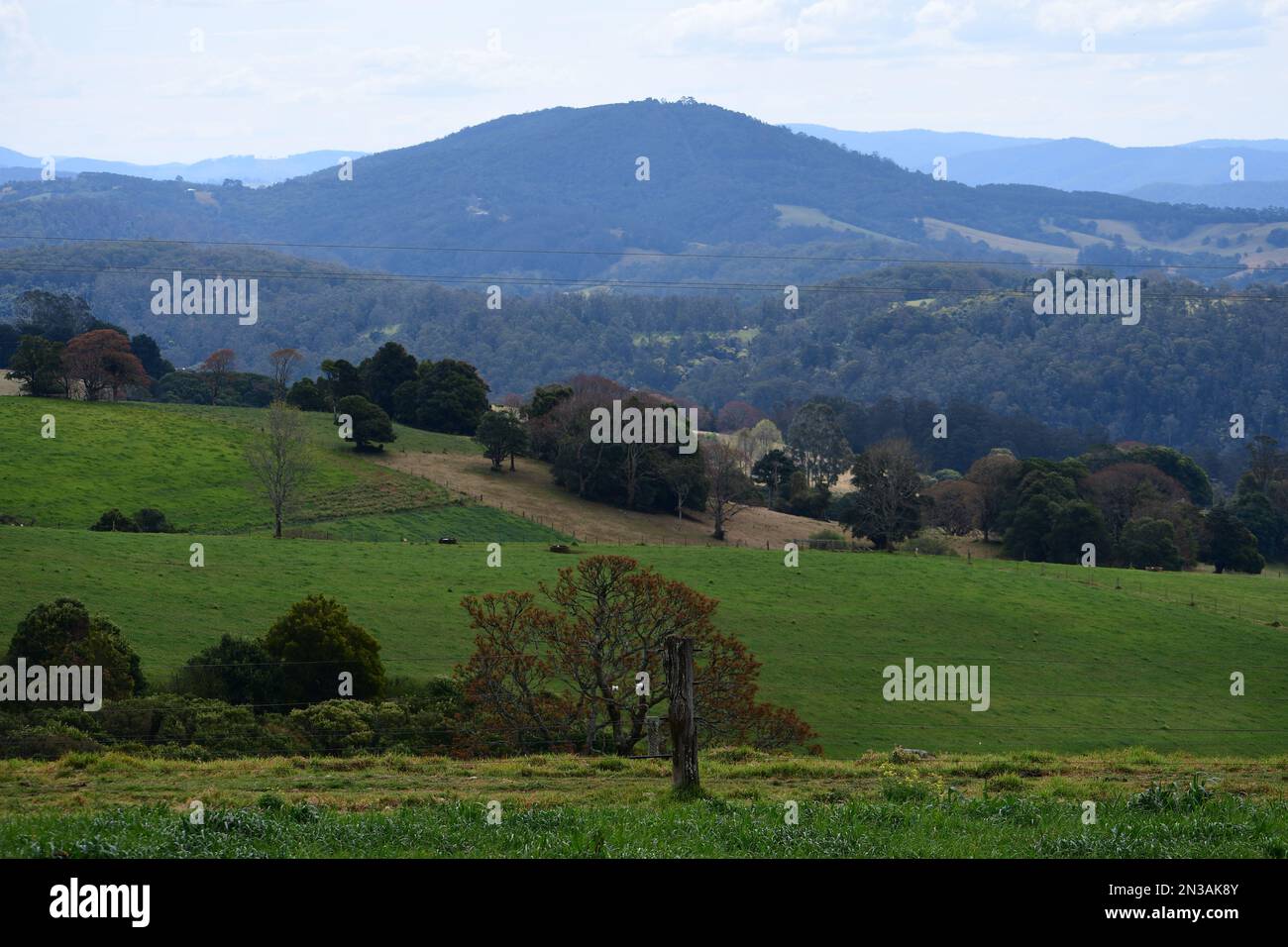 An Australian rural farmland in Fernbook, Waterfall Way, near Dorrigo