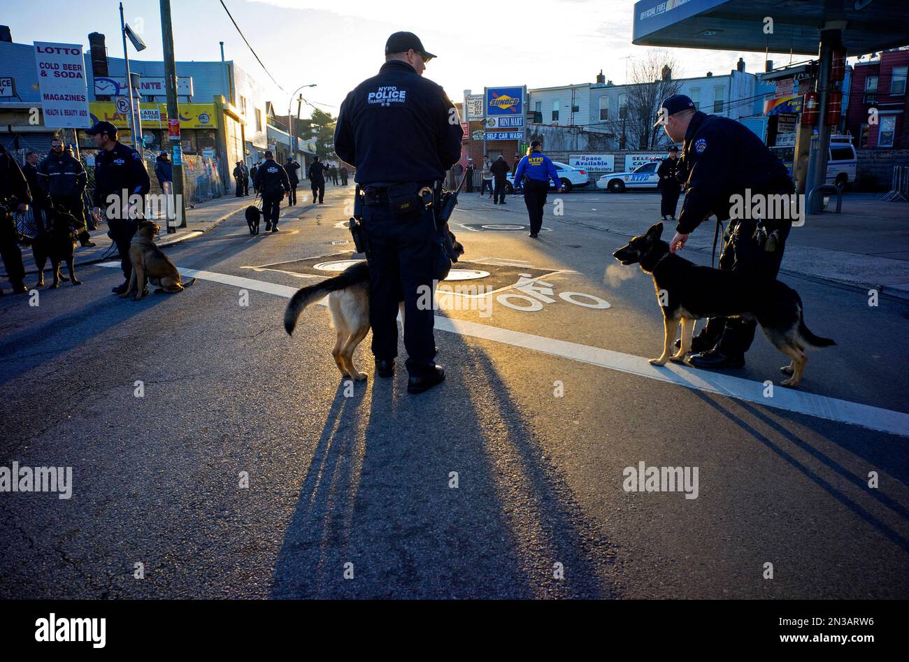 Police officers and their dogs assemble before the funeral of New York ...
