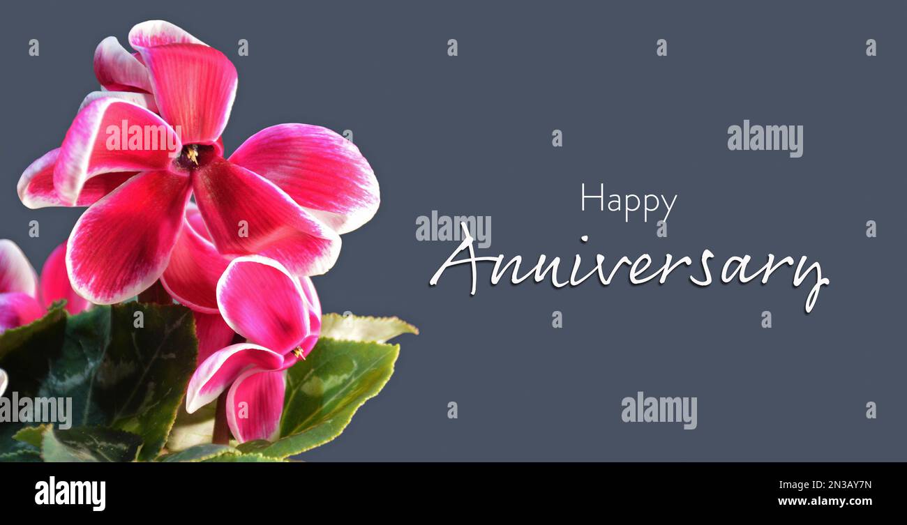 Happy anniversary card with flowers hi-res stock photography and images ...