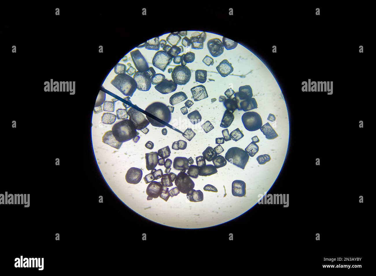 Close-up view of salt crystals (Sodium Chloryde) as seen through a microscope. Stock Photo