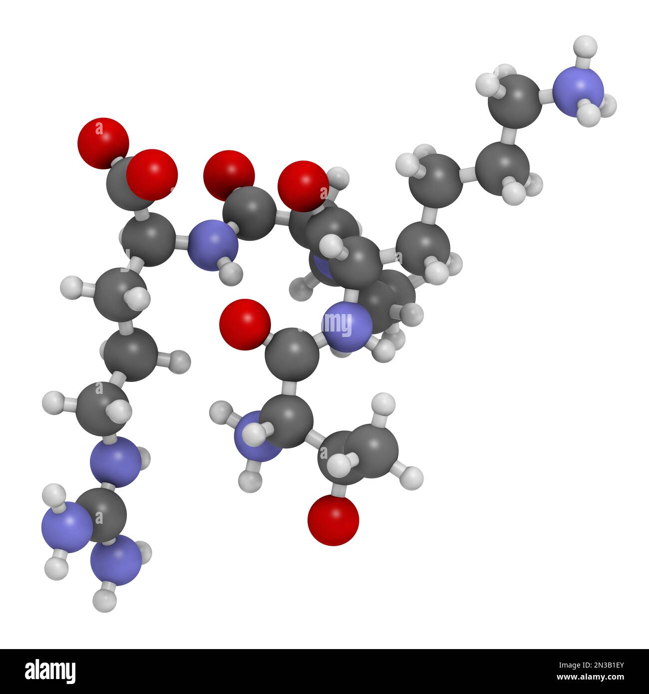 Tuftsin tetrapeptide molecule. 3D rendering. Atoms are represented as spheres with conventional color coding: hydrogen (white), carbon (grey), oxygen Stock Photo