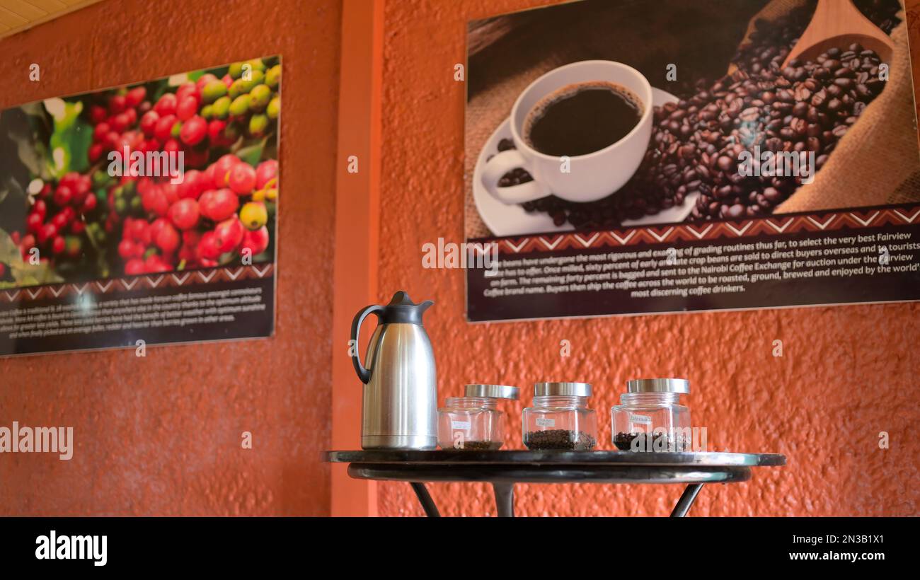 Kenya is a major producer and supplier of coffee Fairview Estate