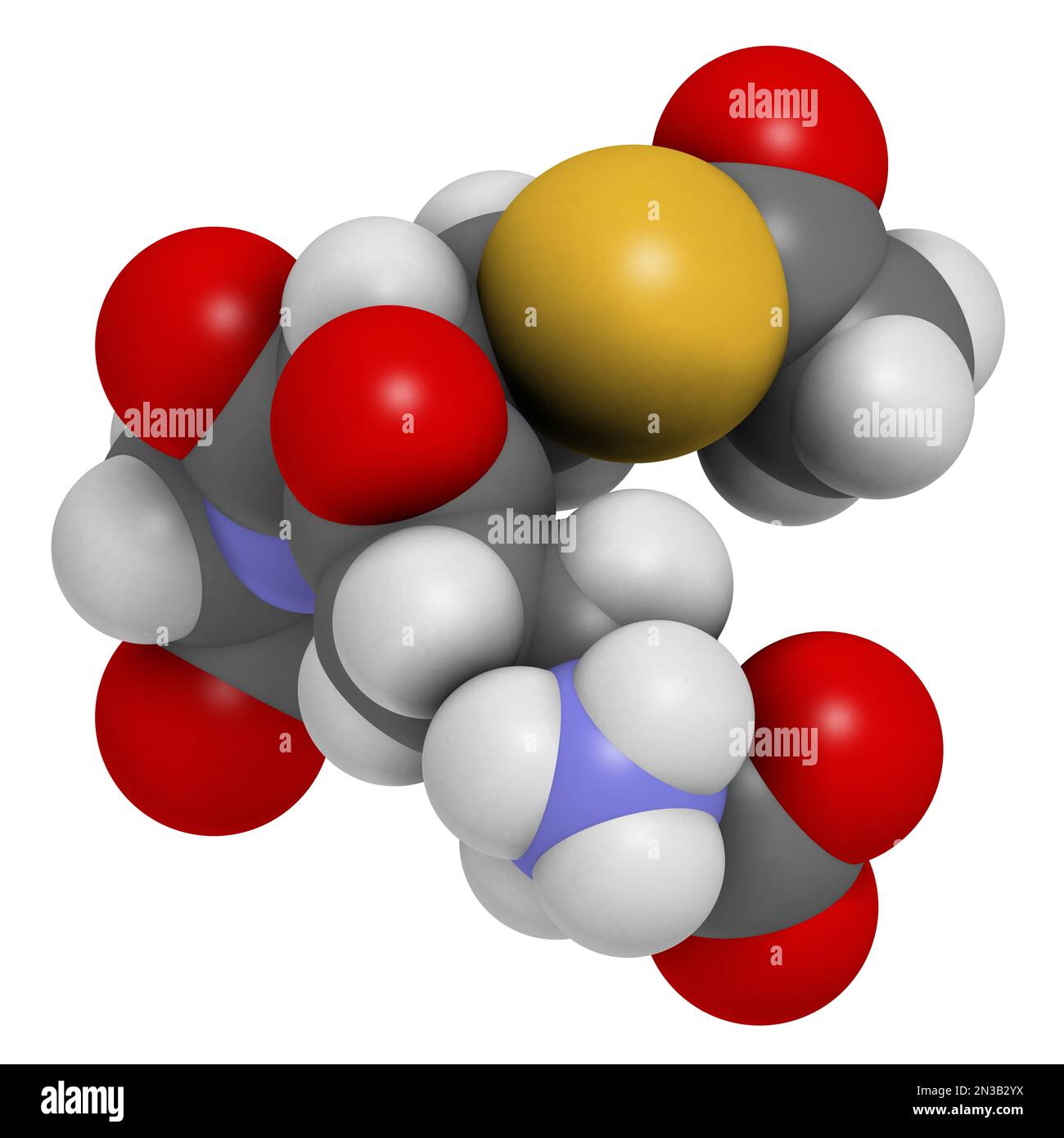 L glutathione hi-res stock photography and images - Alamy