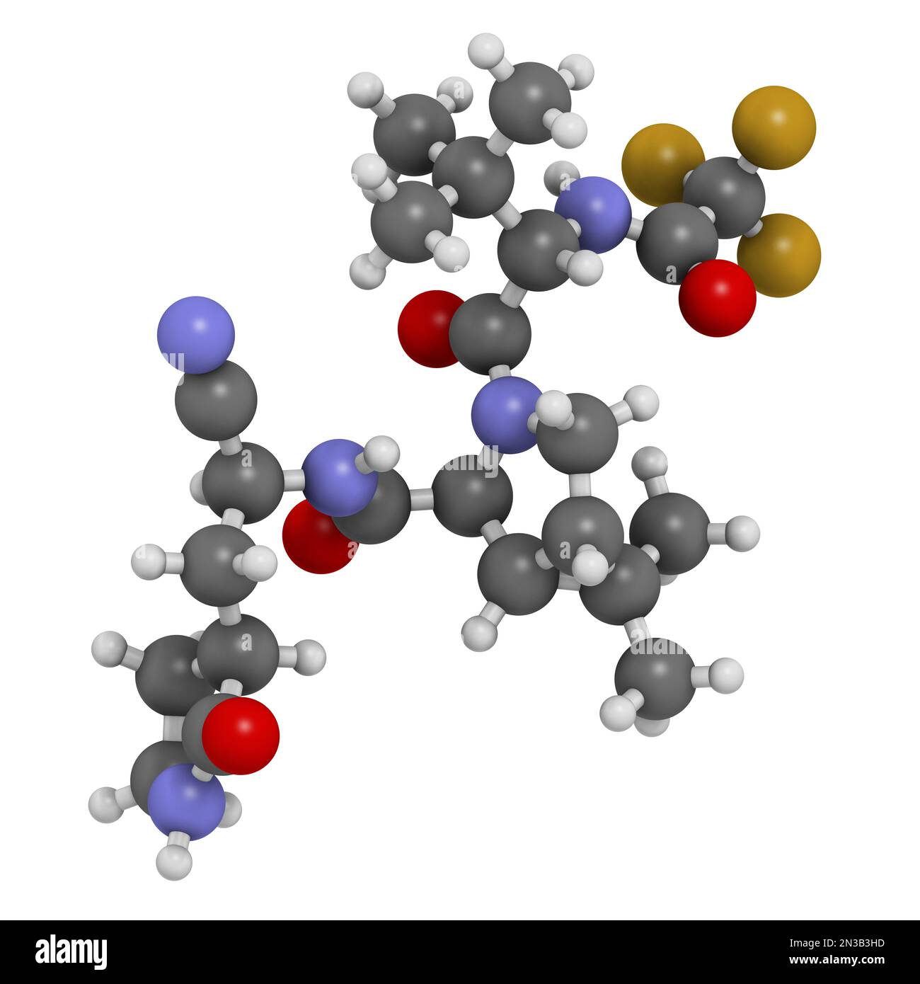 Nirmatrelvir (PF-07321332) antiviral drug molecule. 3D rendering. Atoms are represented as spheres with conventional color coding: hydrogen (white), c Stock Photo