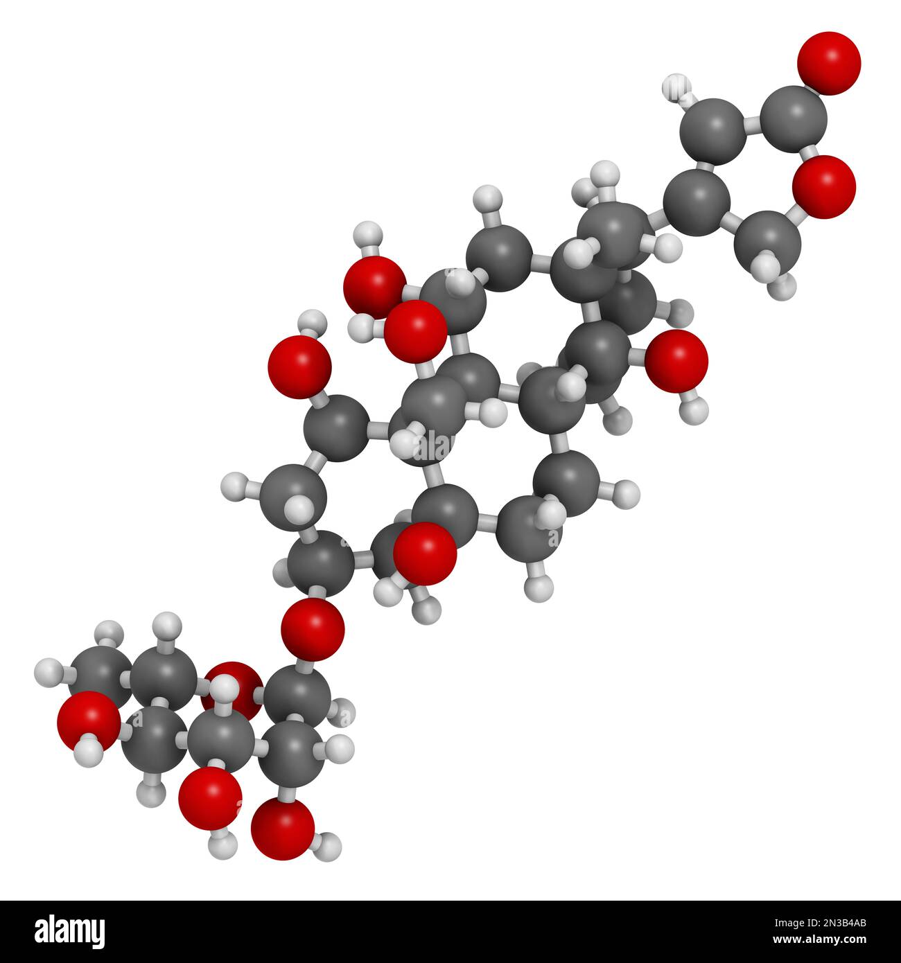 Ouabain poison molecule. 3D rendering. Atoms are represented as spheres with conventional color coding: hydrogen (white), carbon (grey), oxygen (red). Stock Photo