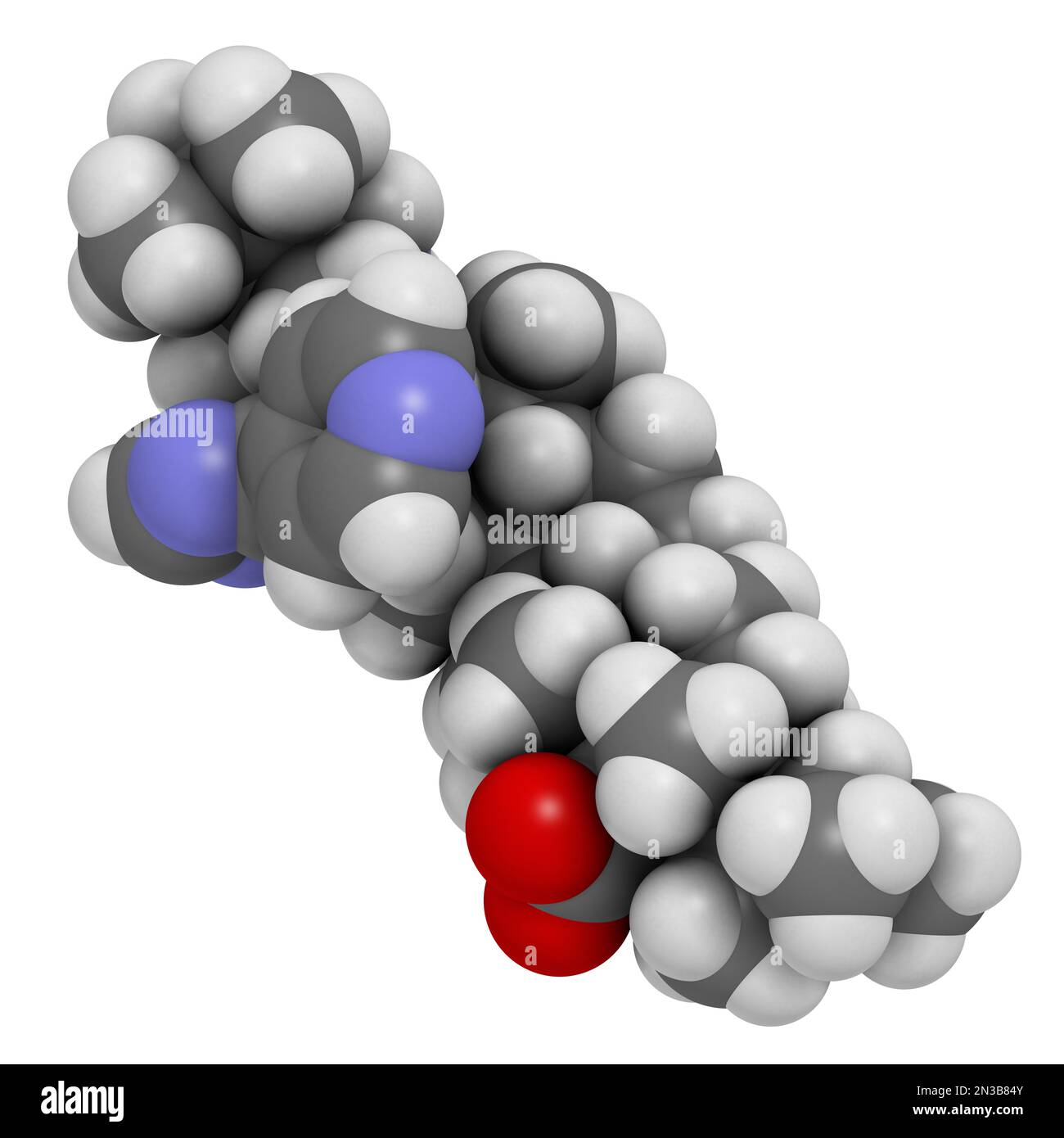 Ibrexafungerp antifungal drug molecule. 3D rendering. Atoms are represented as spheres with conventional color coding: hydrogen (white), carbon (grey) Stock Photo