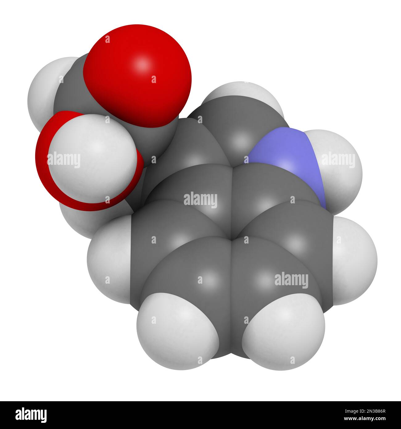 indole3propionic acid or IPA molecule. 3D rendering. Atoms are