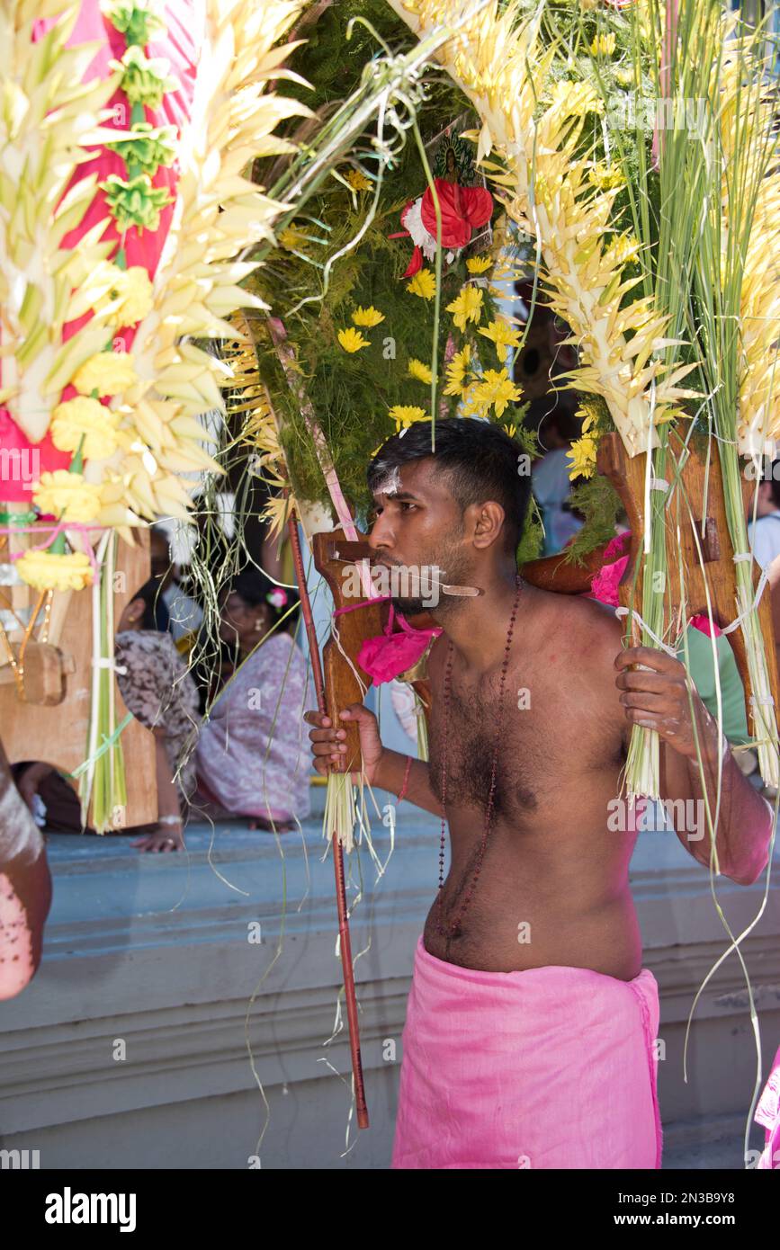Thaipoosam Cavadee in Mauritius: Tamil ritual & penance. Devotees pierce cheeks and tongue and carry 'Cavadee' on the pilgrimage to the temple. Stock Photo