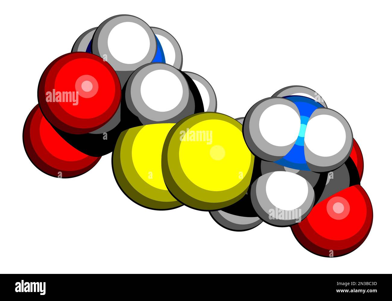 Cystine molecule. Oxidized dimer of the amino acid cysteine. 3D rendering. Atoms are represented as spheres with conventional color coding: hydrogen ( Stock Photo
