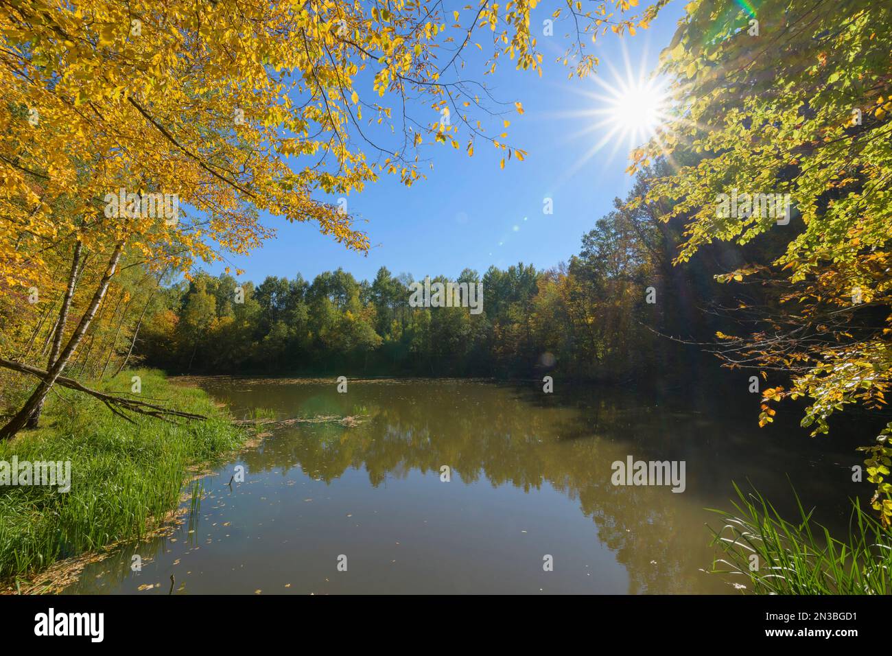 Rothenbuch Pond with colorful autumn leaves and bright sun, Rothenbuch ...