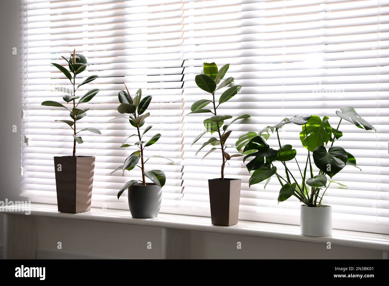 Beautiful potted plants on window sill at home Stock Photo - Alamy