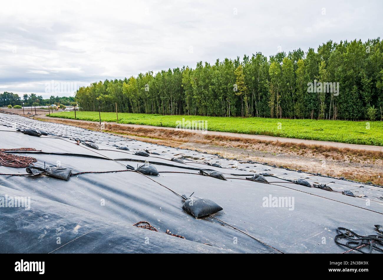 Weighted plastic sheeting covers a hillside in an active landfill