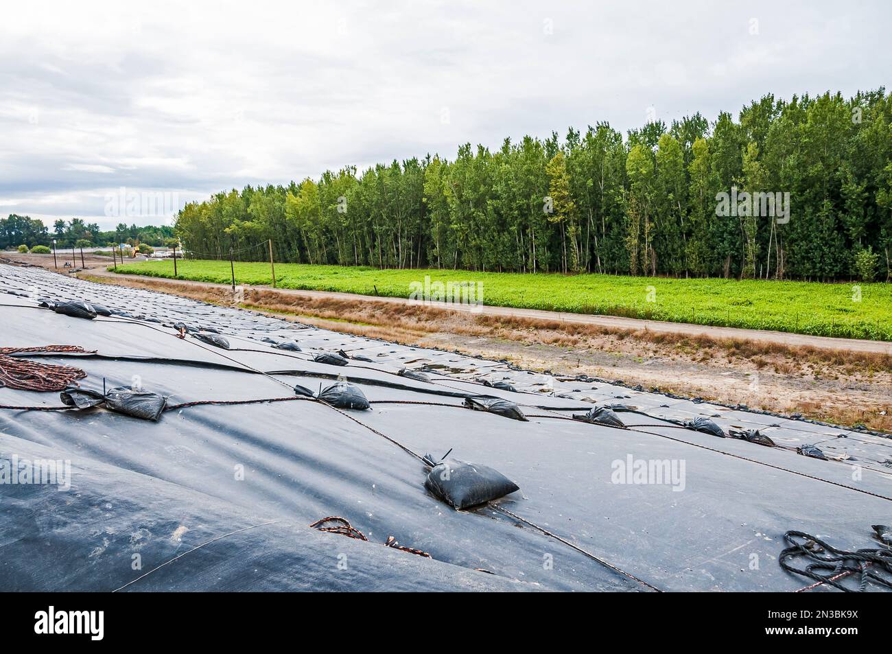 Weighted plastic sheeting covers a hillside in an active landfill.  Probably PVC geomembranes. Stock Photo