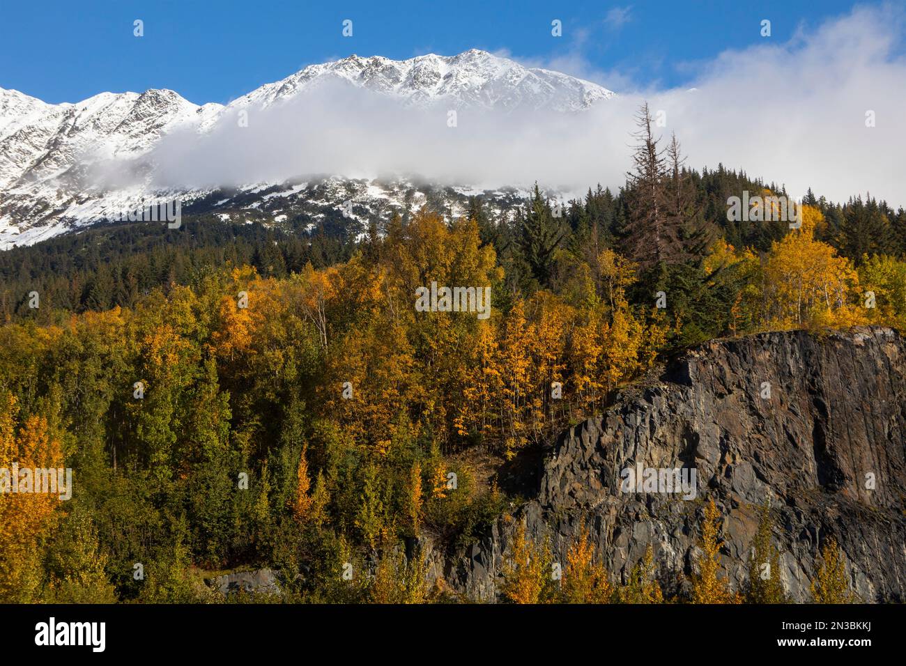 Fall colors on a sunny day with a blue sky along the Seward Highway outside of Anchorage, in contrast with the fresh snow on the Chugach Mountains Stock Photo