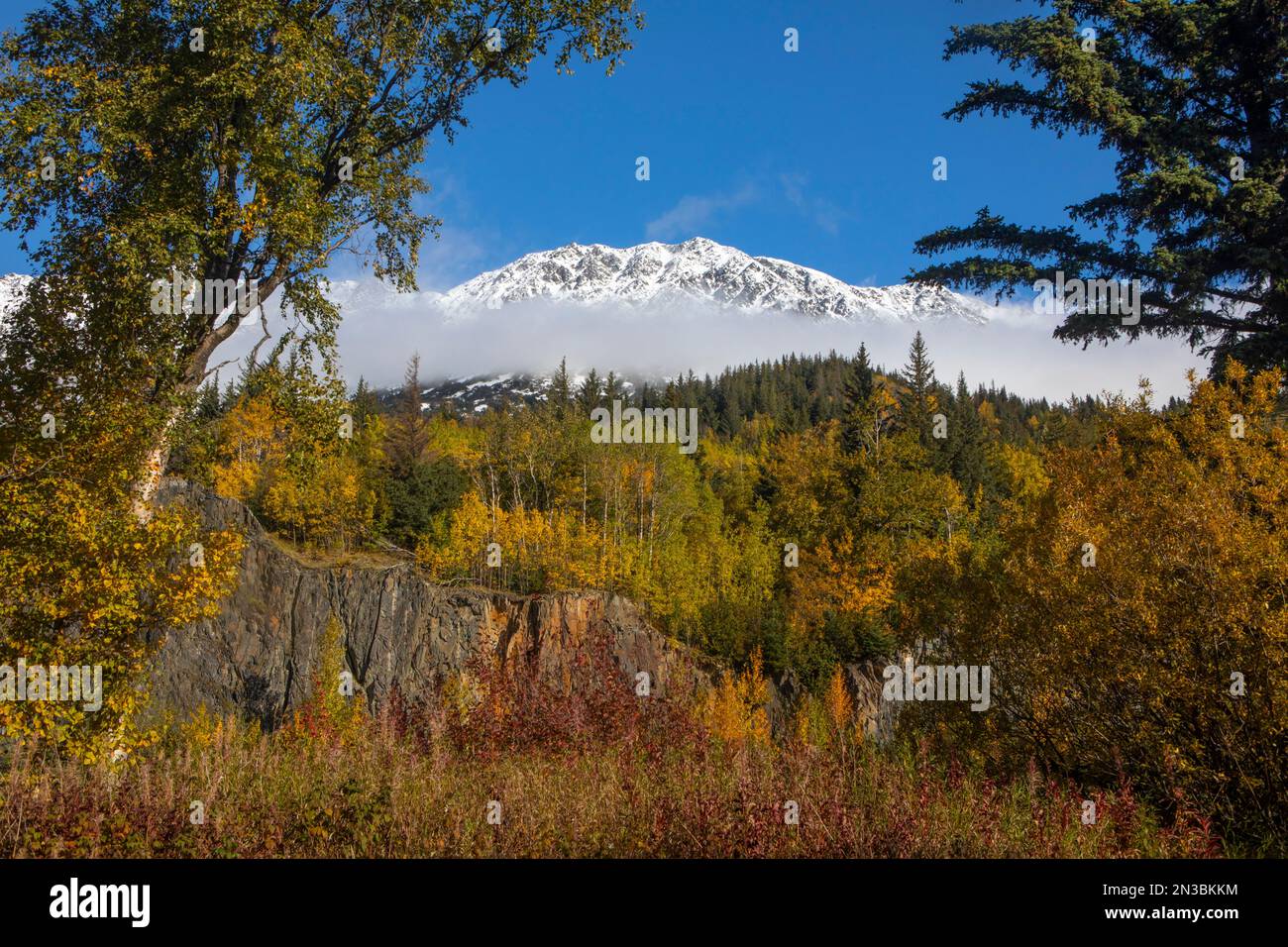 Fall colors on a sunny day with a blue sky along the Seward Highway outside of Anchorage, in contrast with the fresh snow on the Chugach Mountains Stock Photo