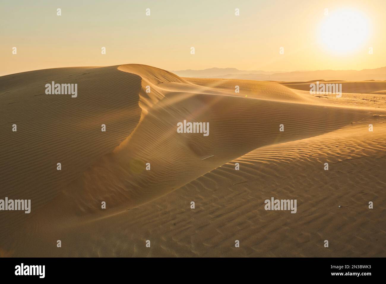 Rippled sand dunes in sunset light, Ebro River Delta; Catalonia, Spain Stock Photo