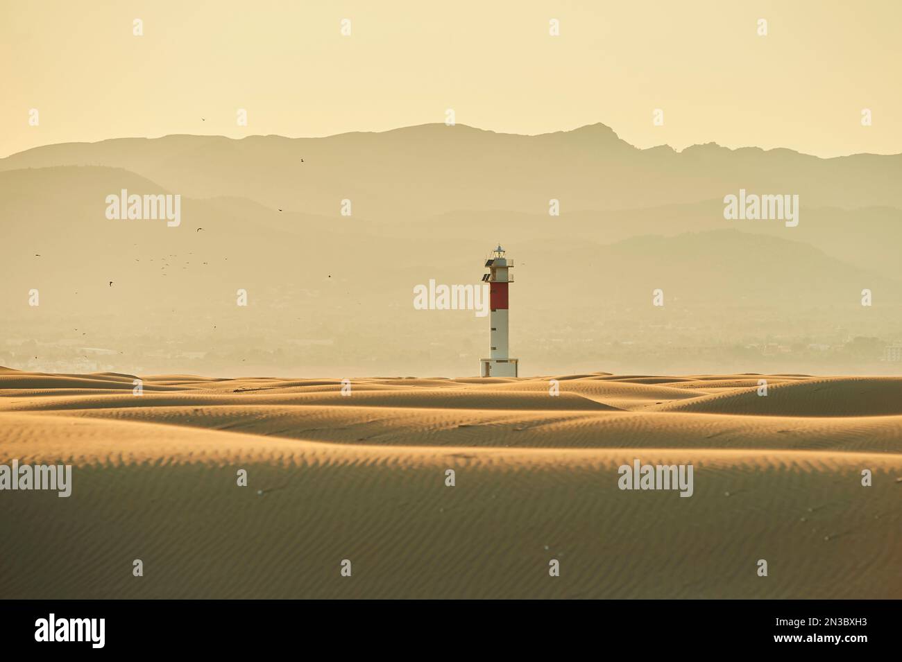 Lighthouse with red stripe on the rippled sand dunes in the evening light at sunset, Ebro River Delta; Catalonia, Spain Stock Photo