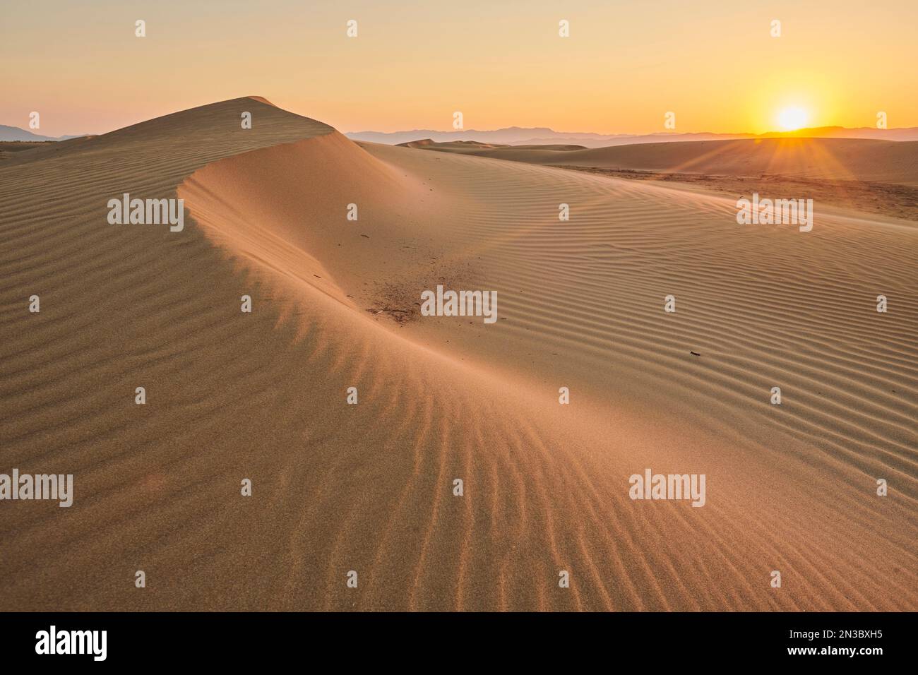 Rippled sand dunes in sunset light, Ebro River Delta; Catalonia, Spain Stock Photo