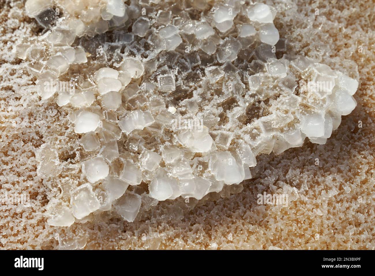 Salt crystals Dead Sea close-up view, Jordan and Israel Stock Photo - Alamy