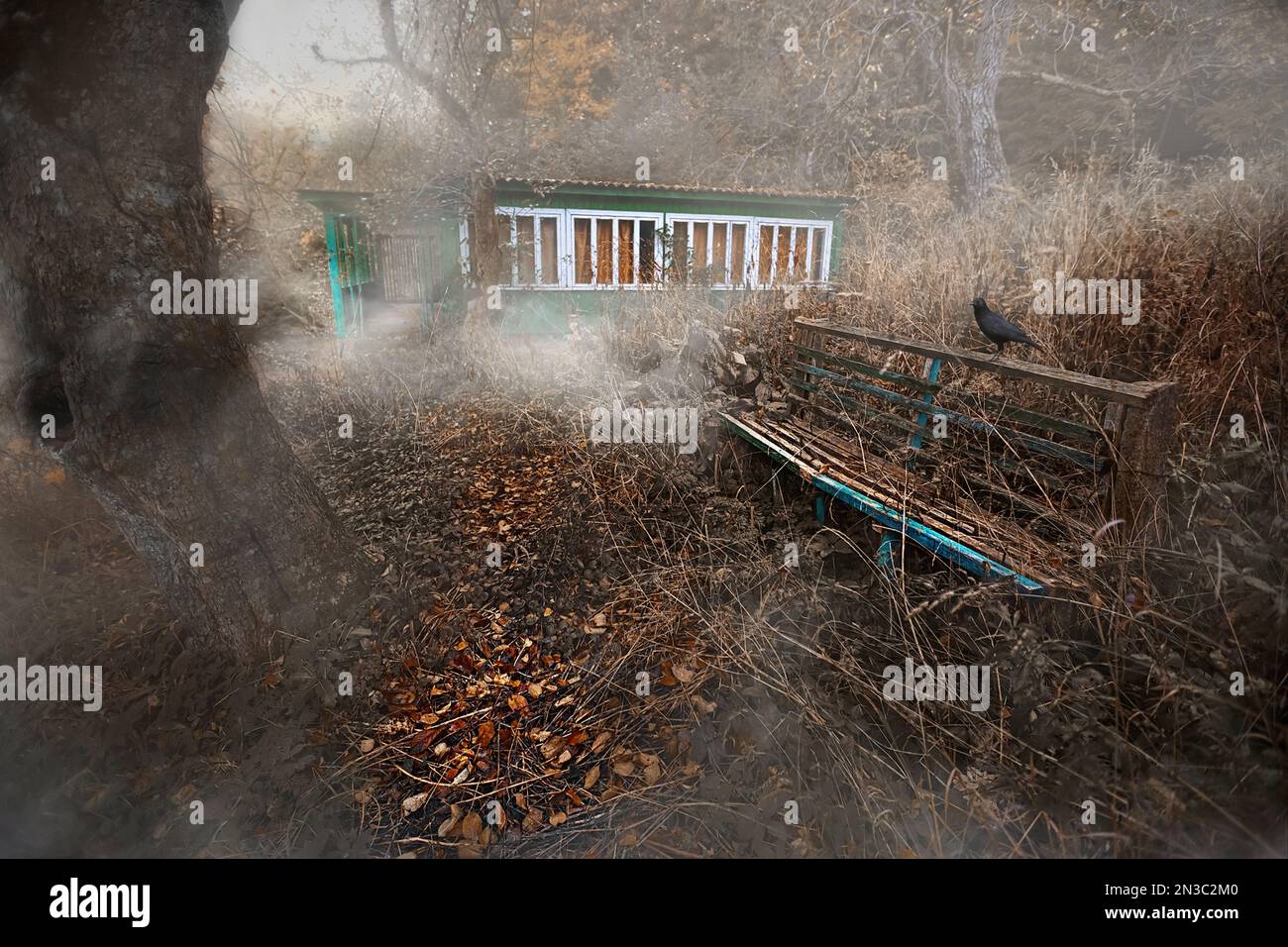 Lost place. Empty shop with a bird. Abandoned resort. Rain and wind, flying leaves. Lonely houses. Fog among the trees. Forgotten in the forest. High quality photo Stock Photo