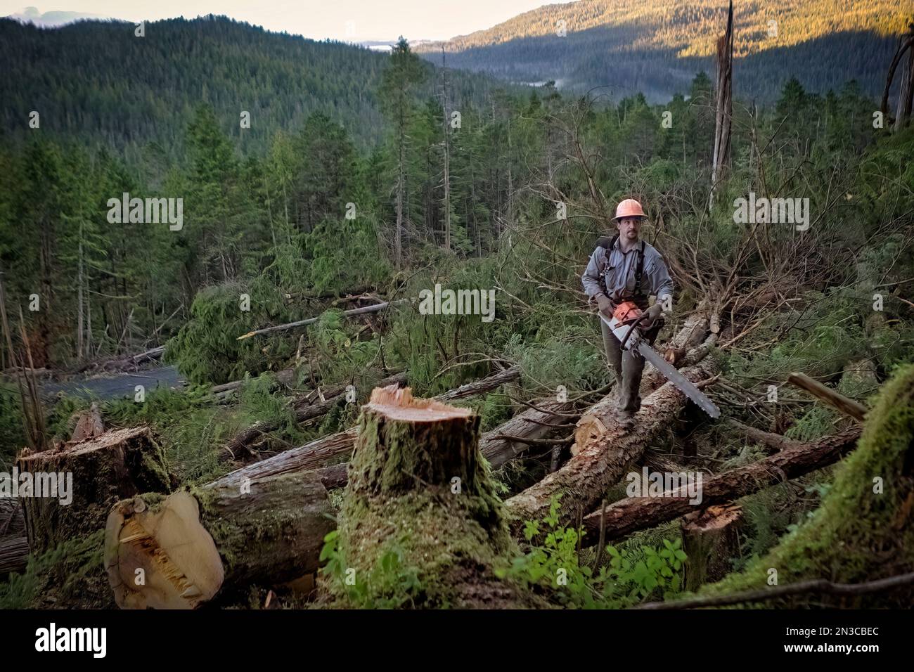 Portrait of Cody, a timber faller, works alone in the woods at Winter Harbor on Prince of Wales Island. It’s dangerous work, and fallers listen for... Stock Photo