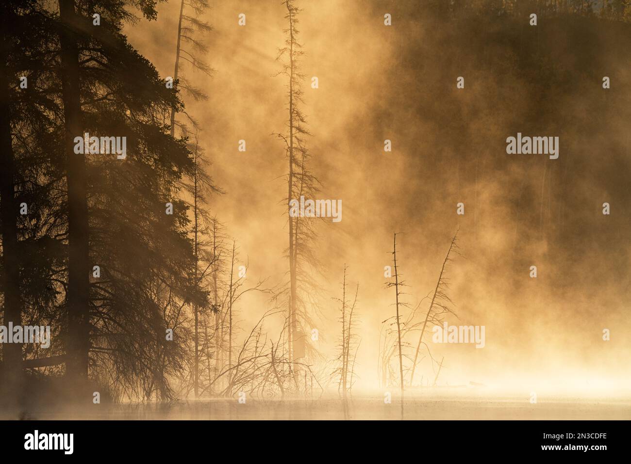 Early morning mist on Chadburn Lake located in Whitehorse, Yukon Stock ...