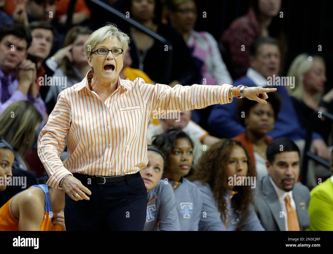 Holly warlick on sale