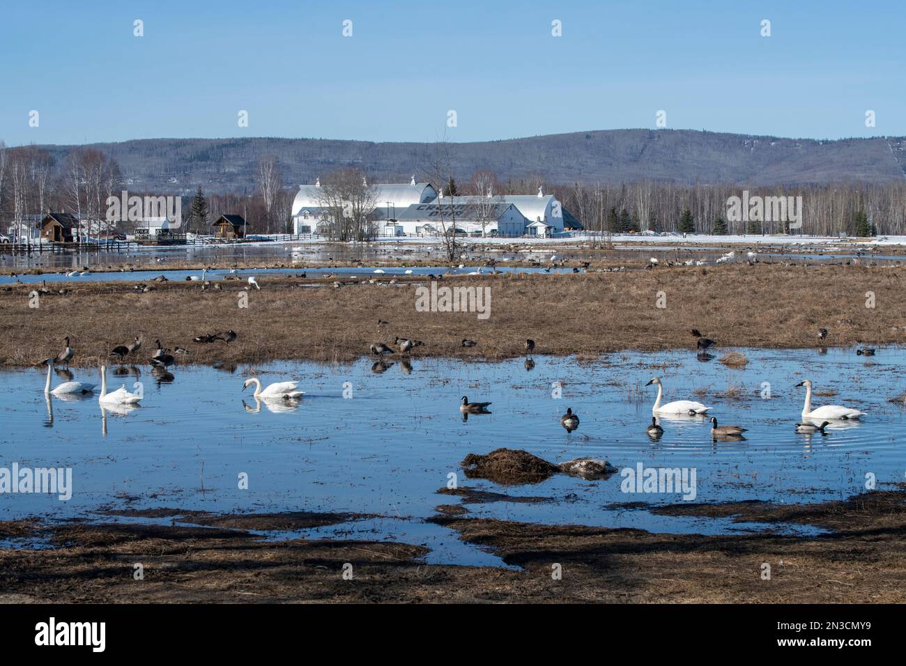 Creamers field migratory waterfowl refuge hires stock photography and