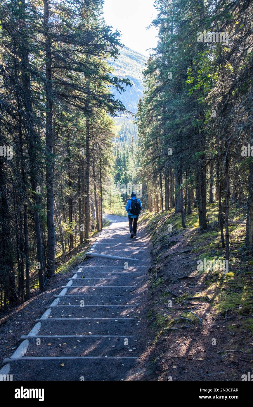Mature woman hiking on trail hi-res stock photography and images - Alamy