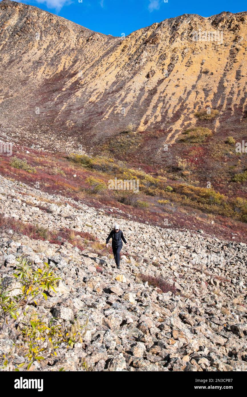 Woman hiker on a rocky slope near Polychrome Pass in autumn; Denali National Park And Preserve, Interior Alaska, Alaska, United States of America Stock Photo