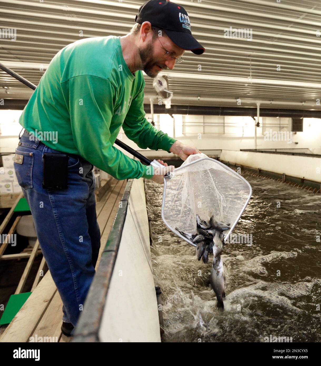 City farmers fish tanks online