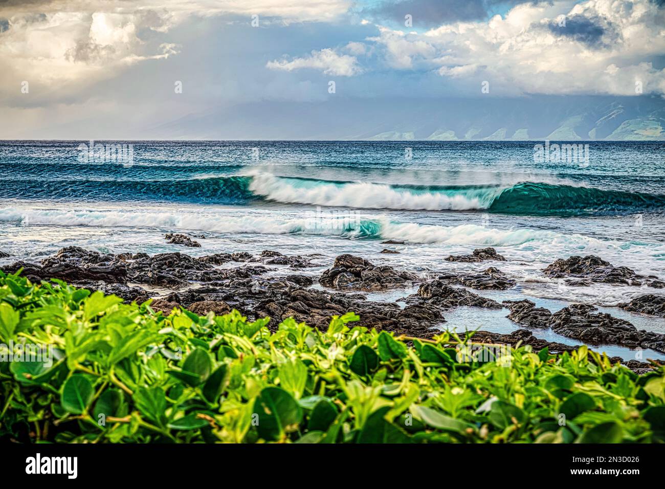 Waves roll into the beach of a hawaiian island with lava rock and plants; Maui, Hawaii, United States of America Stock Photo