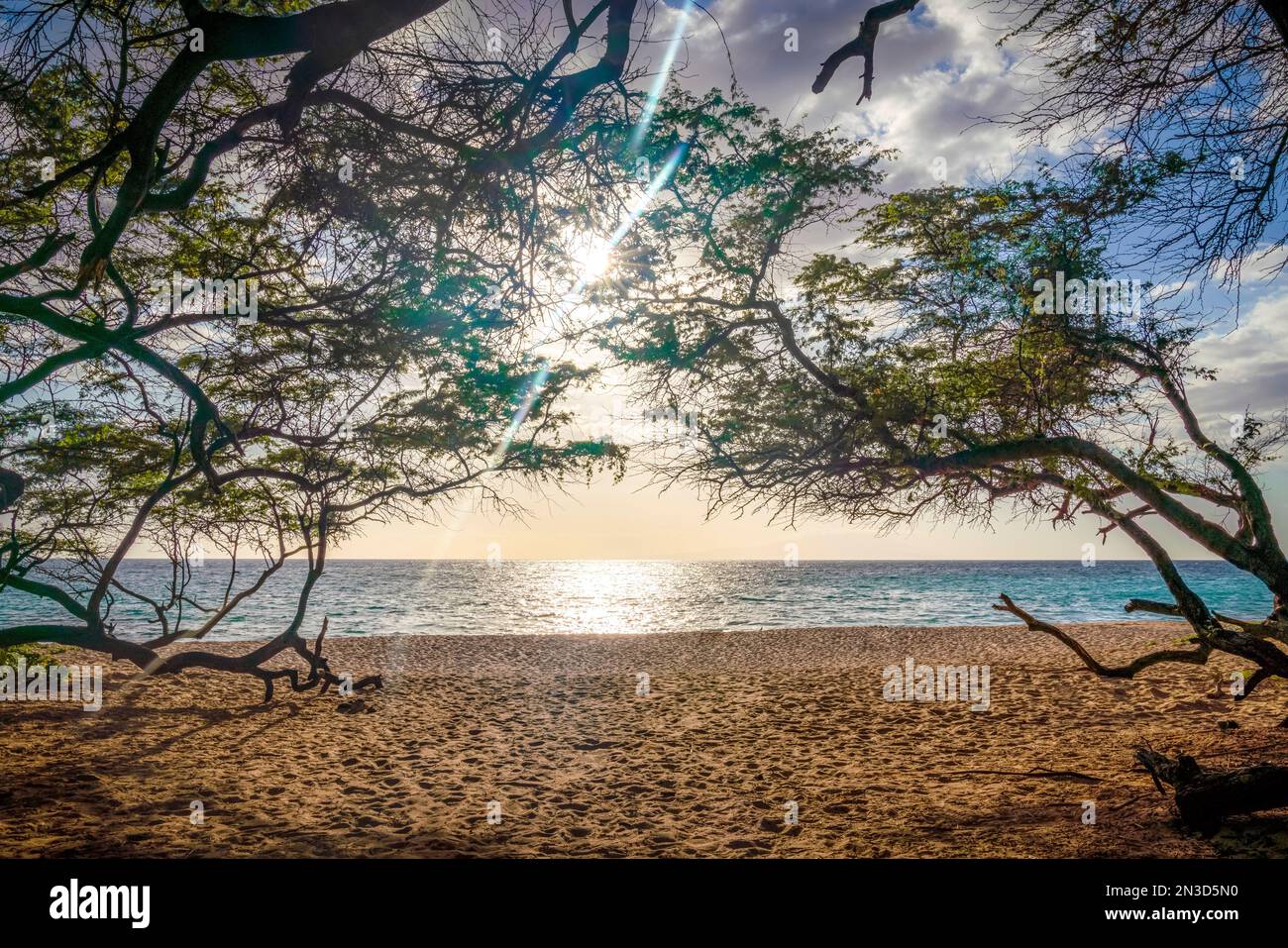 View through trees of sunlight reflected on the Pacific Ocean from the sandy shore at White Rock Beach (Palauea Beach) off Makena Road between Make... Stock Photo