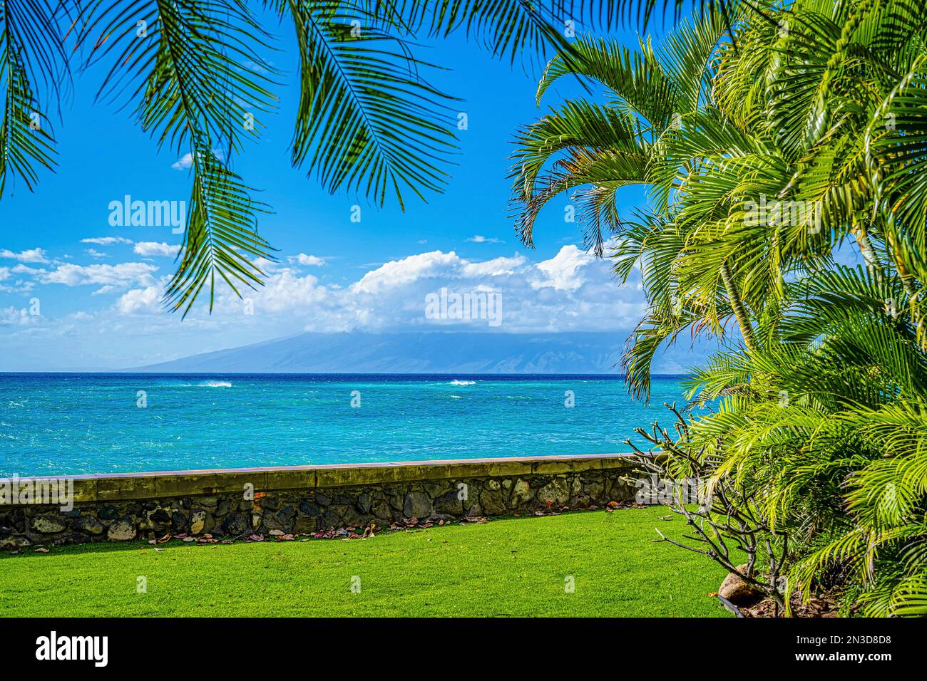 Palm trees and a seawall framing the view of the Pacific Ocean with