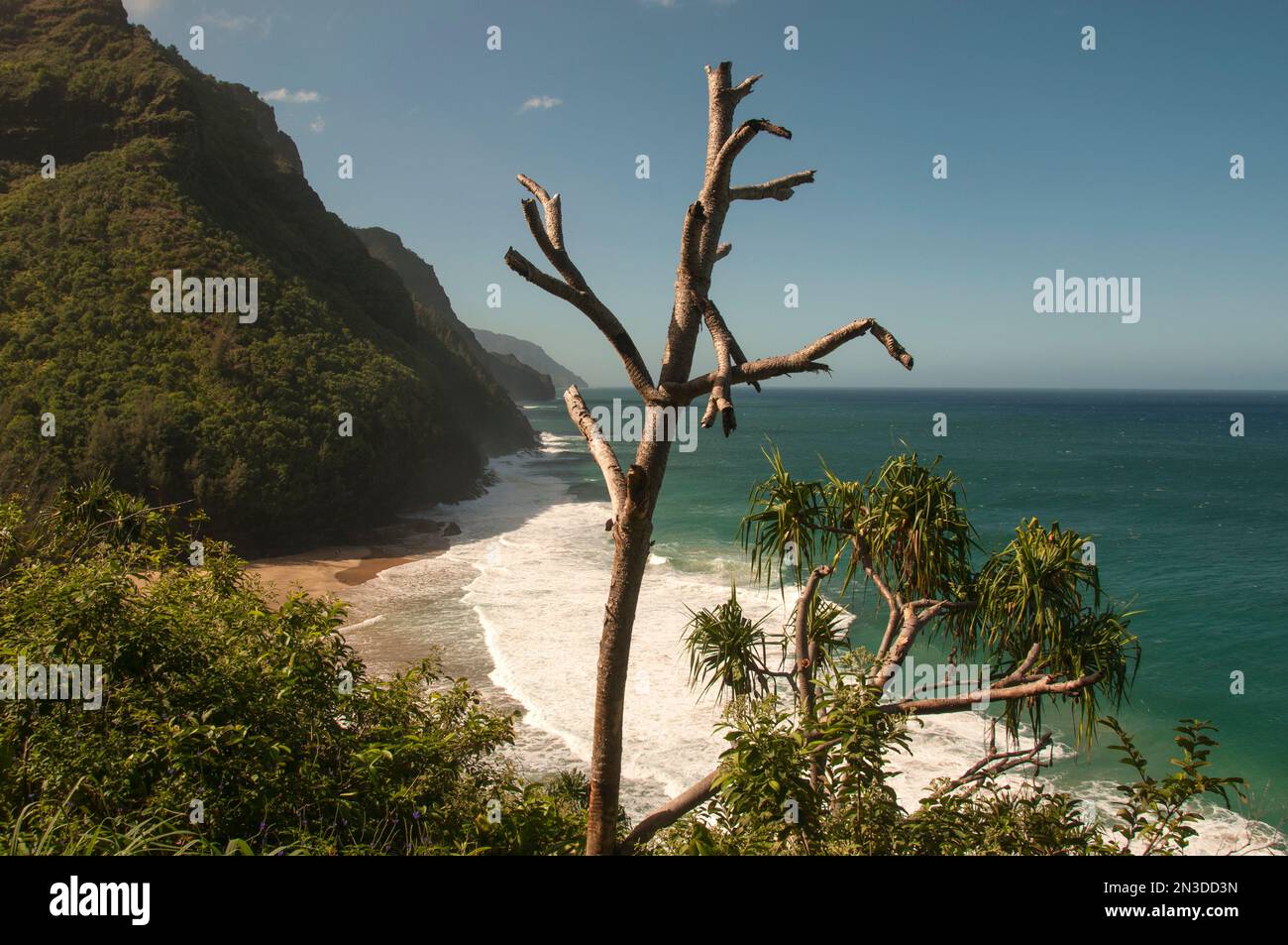 Trees framing the view of the sea cliffs of the Napali Coast; Kauai