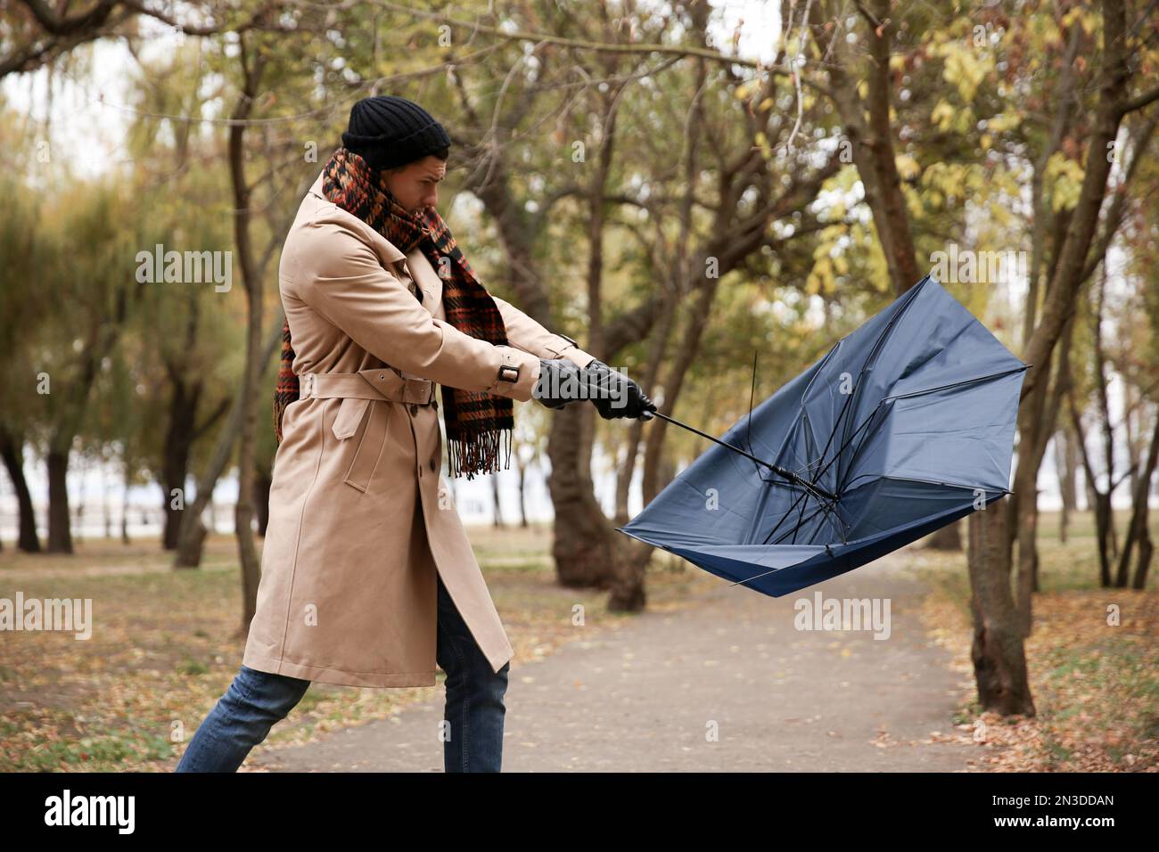 Hovawart Umbrella Hovawart Umbrella