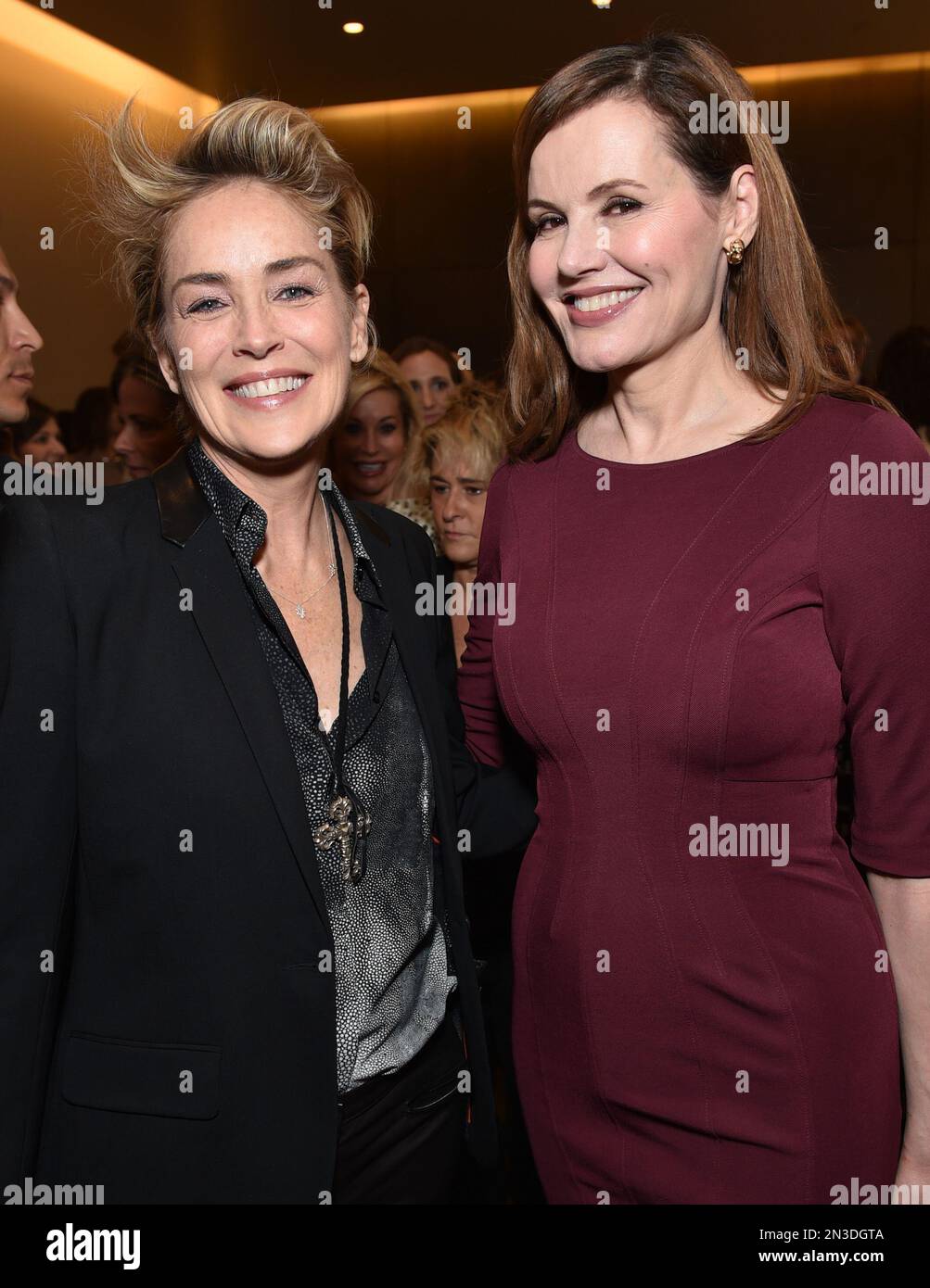 The Power Of Geena Davis: Reshaping The Future Of Women In Law (2025) - 43my9fk