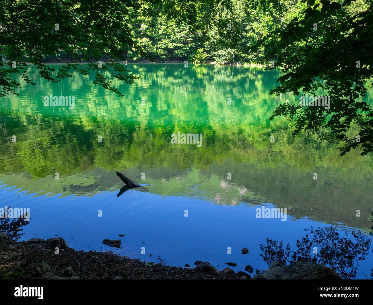 Trees reflected in Lake Biograd waters Stock Photo