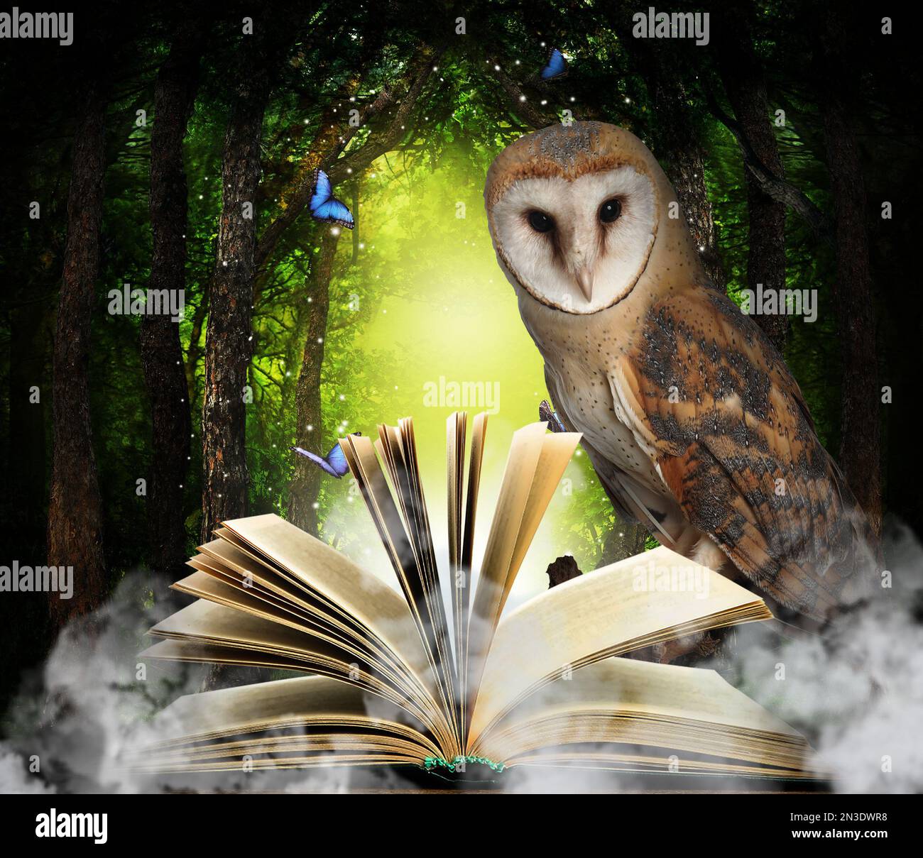 Beautiful wise owl near book in fantasy world Stock Photo Alamy