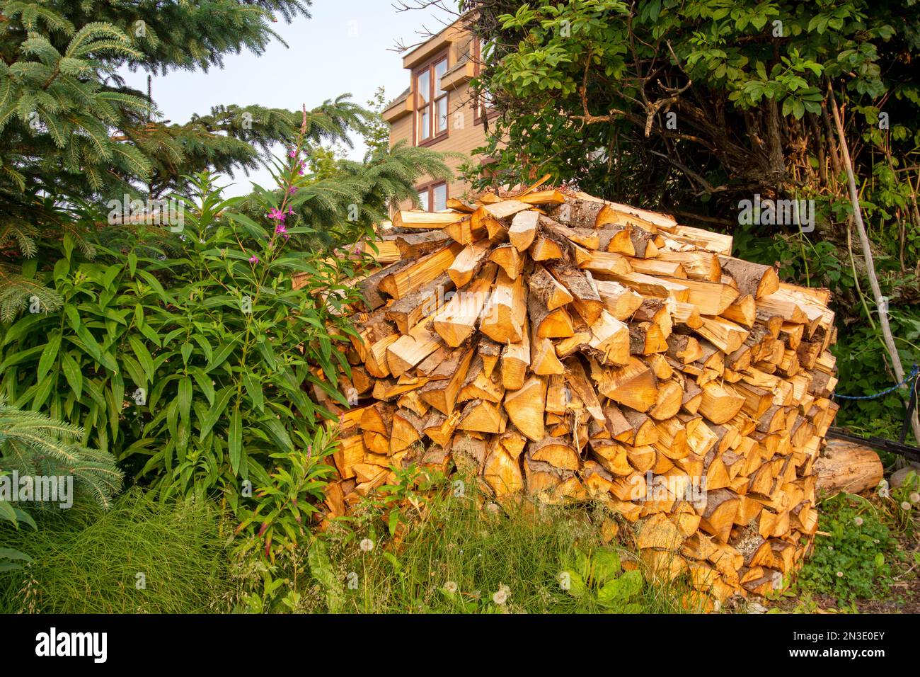 A freshly stacked pile of stove wood sits outside a home in Homer; Homer, Alaska, United States of America Stock Photo