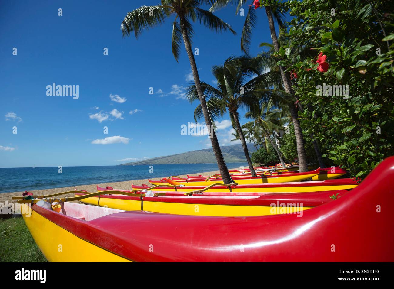 A row of colorful, Hawaiian Outrigger canoes lined-up on the beach on the north end of Kihei; Kihei, Maui, Hawaii, United States of America Stock Photo