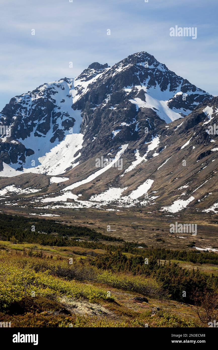 Ptarmigan Peak and the alpine tundra in the Chugach Mountains, Chugach State Park; Anchorage, Alaska, United States of America Stock Photo