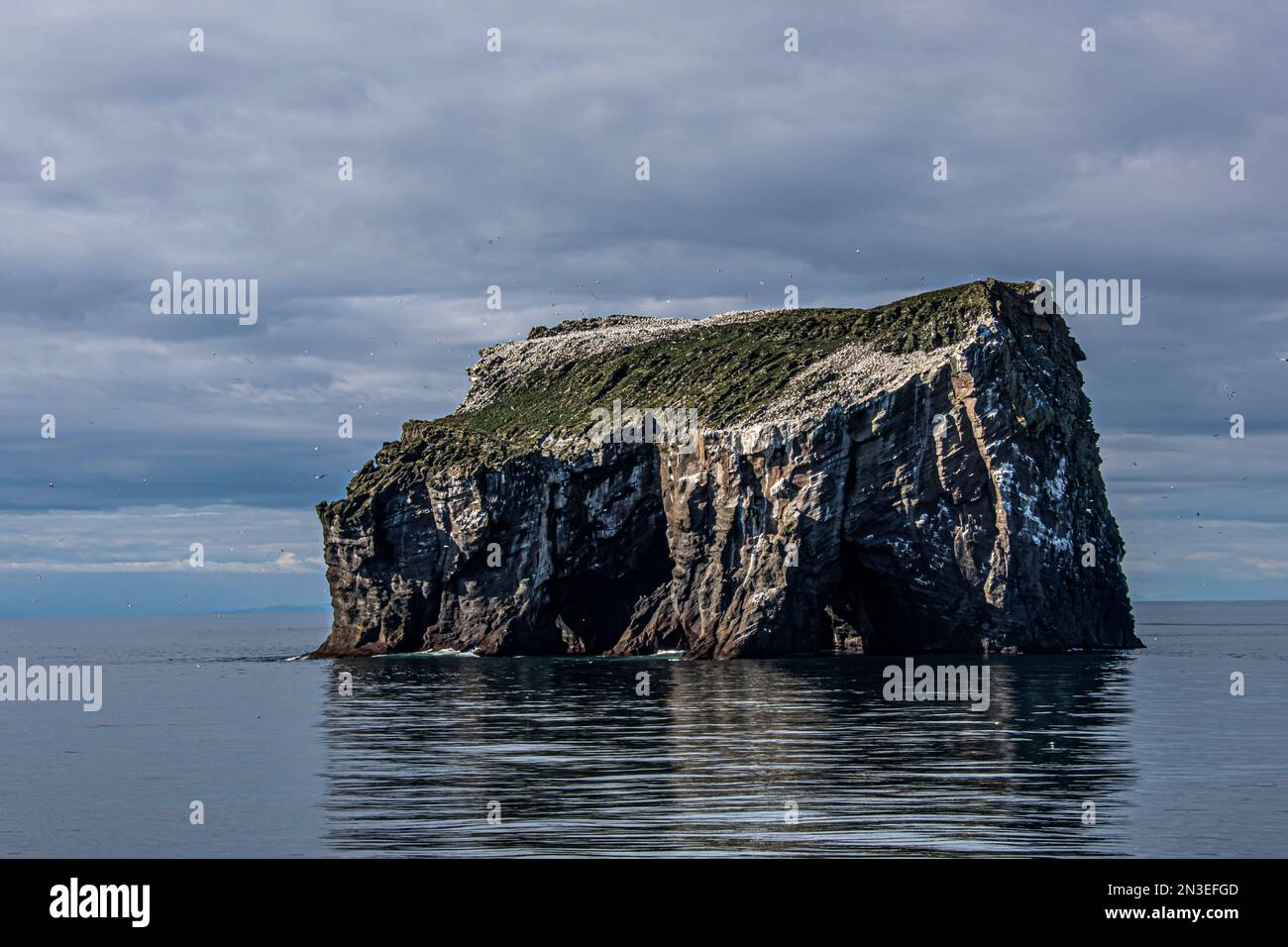 Seabirds flying around a small island, rock formation in the Vestmannaeyjar Archipelago. A young archipelago in geological terms, the islands lie i... Stock Photo