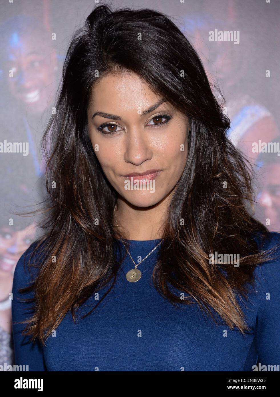 Actress Janina Gavankar Attends The Premiere Of Top Five At The